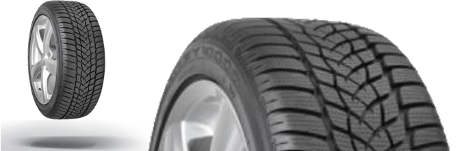 Anvelope Autoturisme 255/40 R19  GOODYEAR ULTRA-GRIP-PERFORMANCE-G1  Iarnă (100V XL)