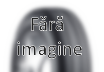 Anvelope Autoturisme 195/65 R15  DEBICA FRIGO-HP2  Iarnă